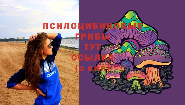 jwh Краснослободск