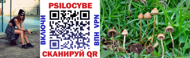 Галлюциногенные грибы ЛСД  omg онион  Чкаловск 